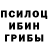 Галлюциногенные грибы Psilocybe Madiyar So2