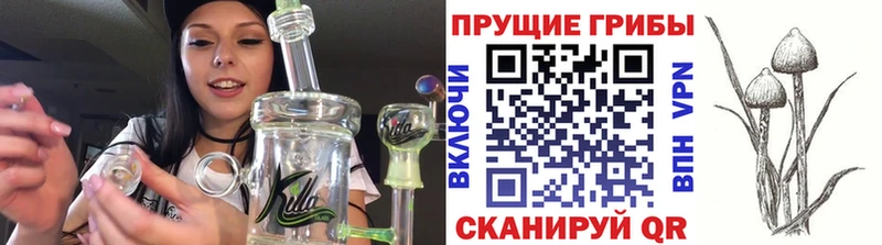 закладка  Ставрополь  Галлюциногенные грибы мухоморы 